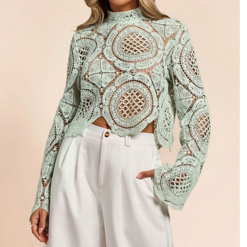 High Neck Floral Semi Sheer Flared Sleeve Cropped Top - Picture 4 of 9